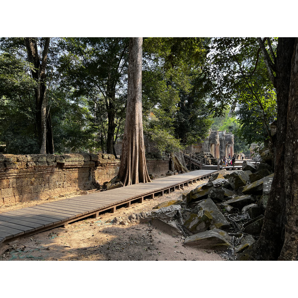 Picture Cambodia Siem Reap Ta Prohm 2023-01 148 - History Ta Prohm