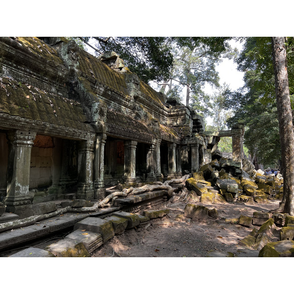 Picture Cambodia Siem Reap Ta Prohm 2023-01 34 - Discovery Ta Prohm