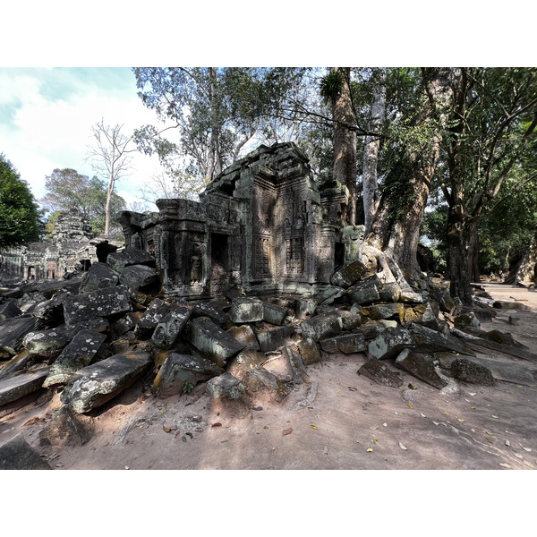 Picture Cambodia Siem Reap Ta Prohm 2023-01 50 - Tour Ta Prohm