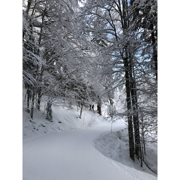 Picture France La Clusaz 2017-12 305 - Around La Clusaz