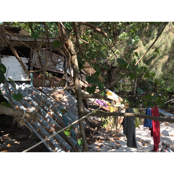 Picture Thailand Koh Samet 2016-01 73 - Tours Koh Samet