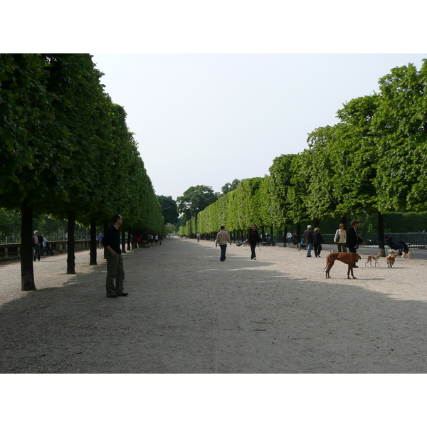 Picture France Paris Garden of Tuileries 2007-05 342 - Recreation Garden of Tuileries