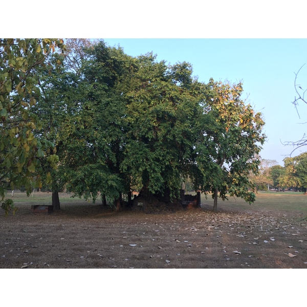 Picture Thailand Si satchanalai historical park 2014-12 78 - Recreation Si satchanalai historical park