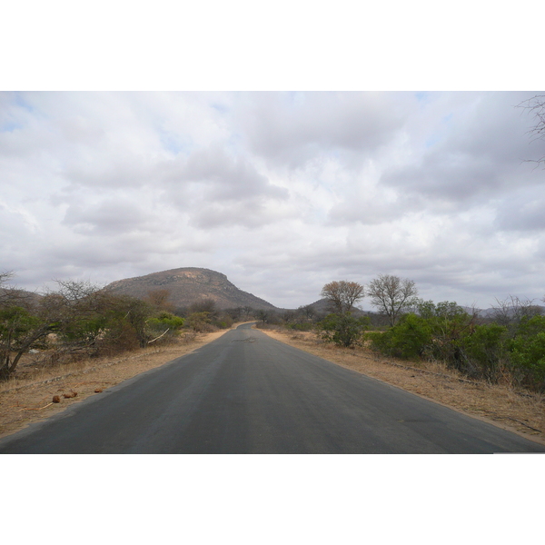 Picture South Africa Kruger National Park 2008-09 47 - Discovery Kruger National Park