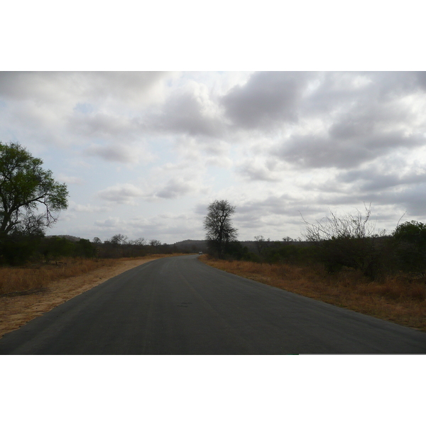 Picture South Africa Kruger National Park 2008-09 97 - Center Kruger National Park