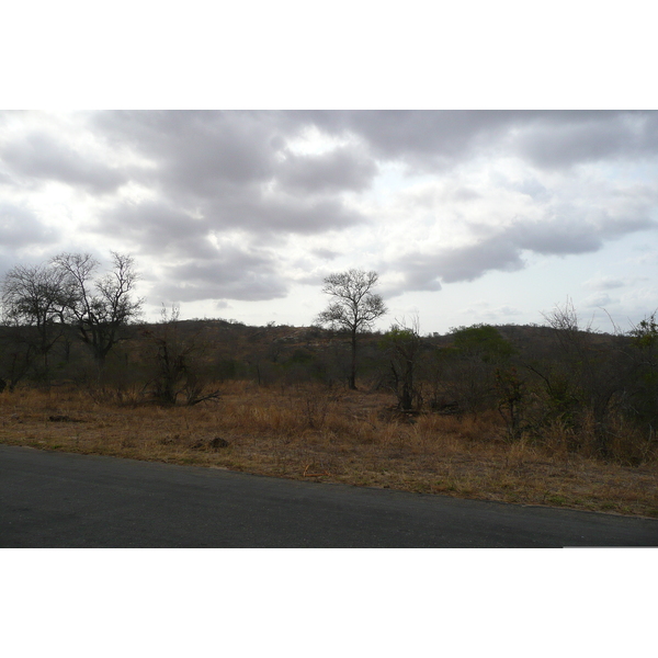 Picture South Africa Kruger National Park 2008-09 87 - Around Kruger National Park