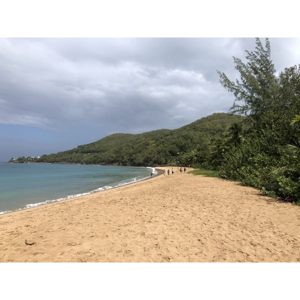 Picture Guadeloupe Grande Hanse Beach 2021-02 0 - Journey Grande Hanse Beach