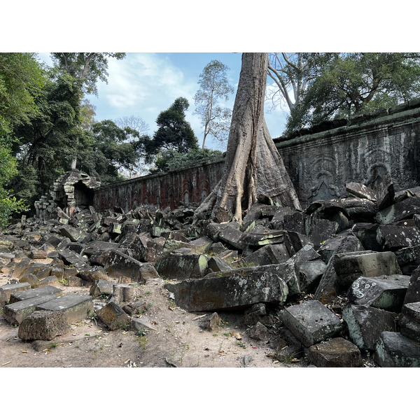 Picture Cambodia Siem Reap Ta Prohm 2023-01 12 - Tour Ta Prohm