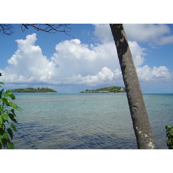 Picture Polynesia Bora Bora 2006-04 67 - Around Bora Bora