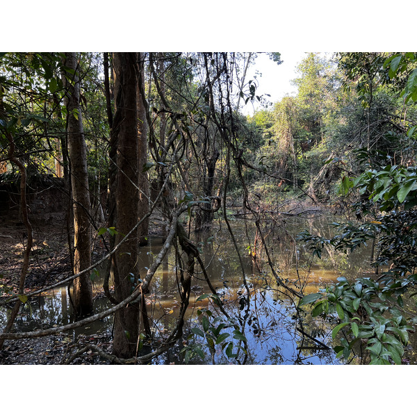 Picture Cambodia Siem Reap Ta Som 2023-01 30 - Tours Ta Som