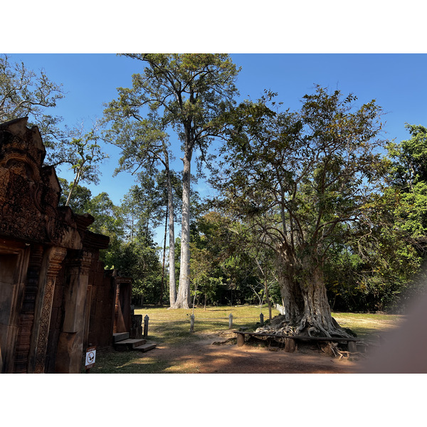 Picture Cambodia Siem Reap ⁨Banteay Srei⁩ 2023-01 49 - History ⁨Banteay Srei⁩