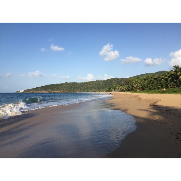 Picture Guadeloupe La Perle Beach 2021-02 100 - Discovery La Perle Beach