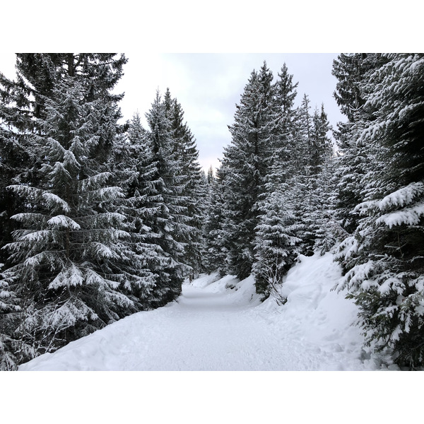 Picture France La Clusaz 2017-12 286 - Around La Clusaz