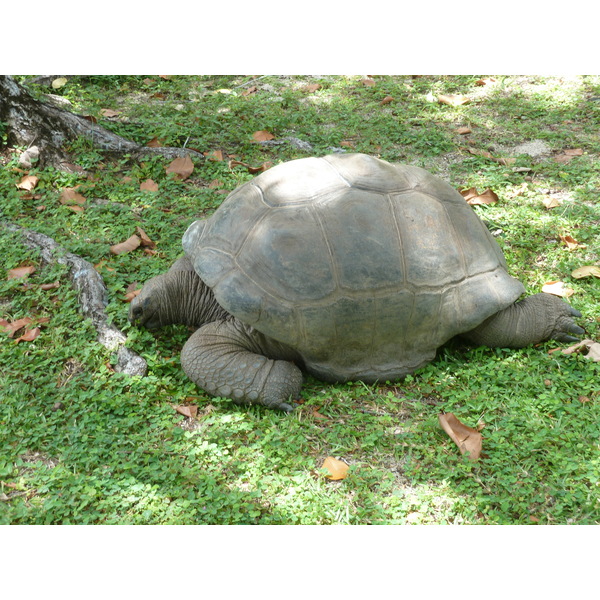 Picture Seychelles Grande Soeur 2011-10 105 - History Grande Soeur