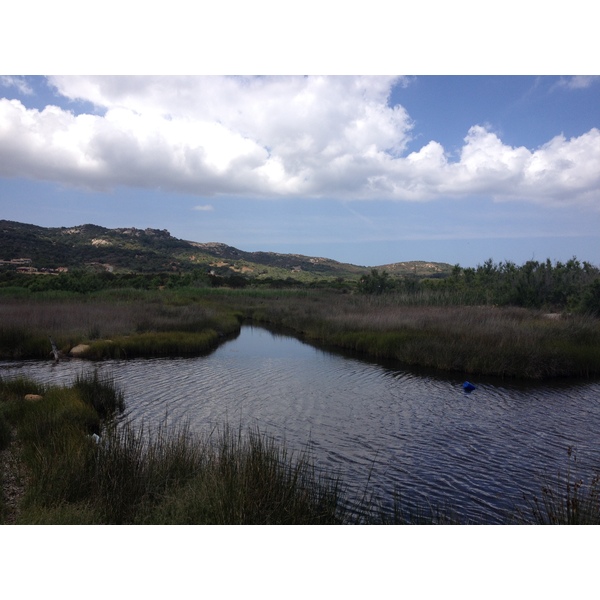 Picture Italy Sardinia Costa Smeralda 2015-06 121 - Discovery Costa Smeralda