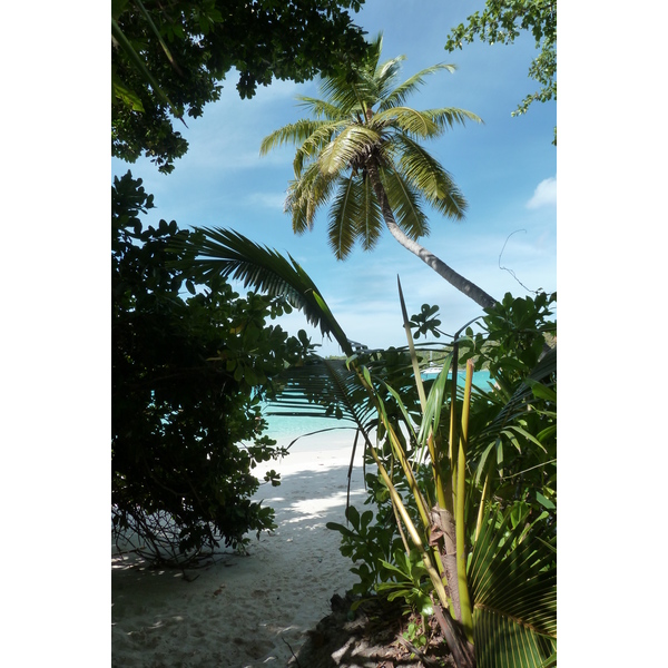 Picture Seychelles Anse Lazio 2011-10 61 - Tour Anse Lazio