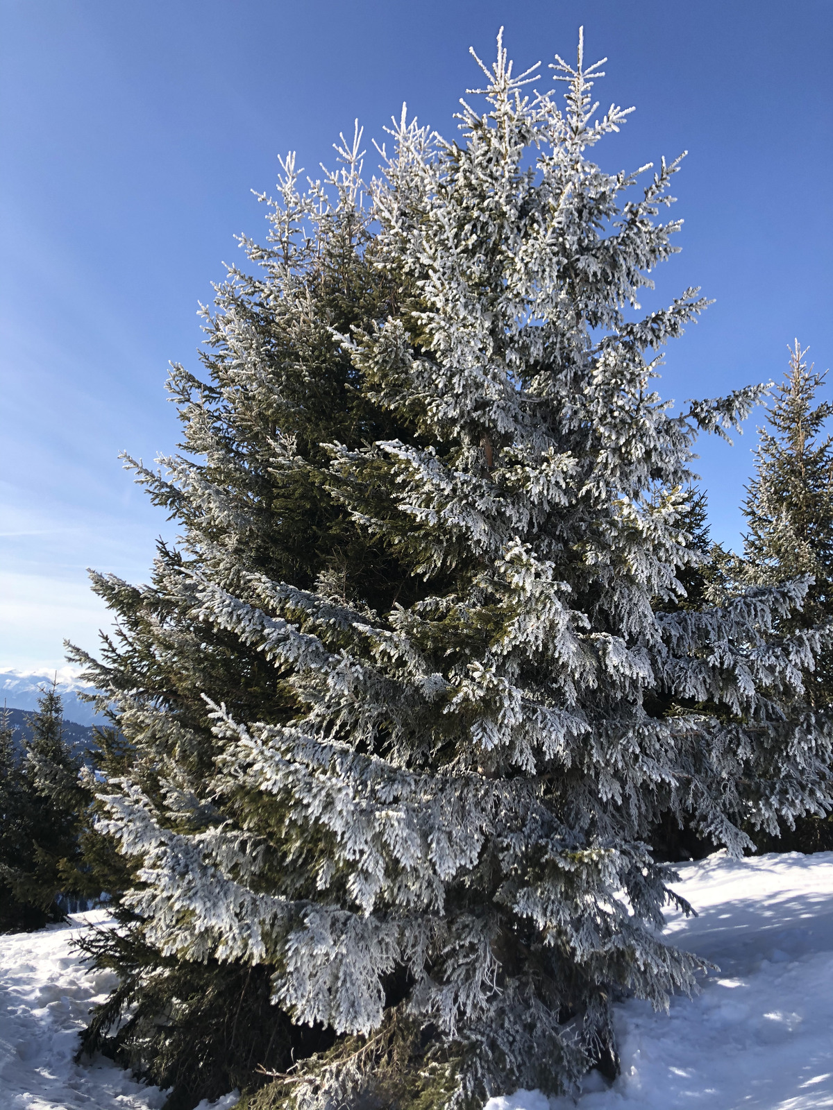 Picture France Praz sur Arly 2019-12 49 - Sightseeing Praz sur Arly