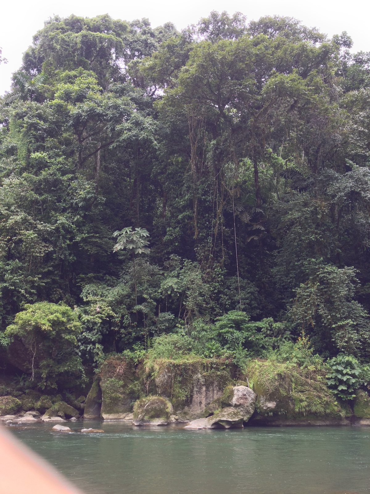 Picture Costa Rica Pacuare River 2015-03 45 - Photographer Pacuare River