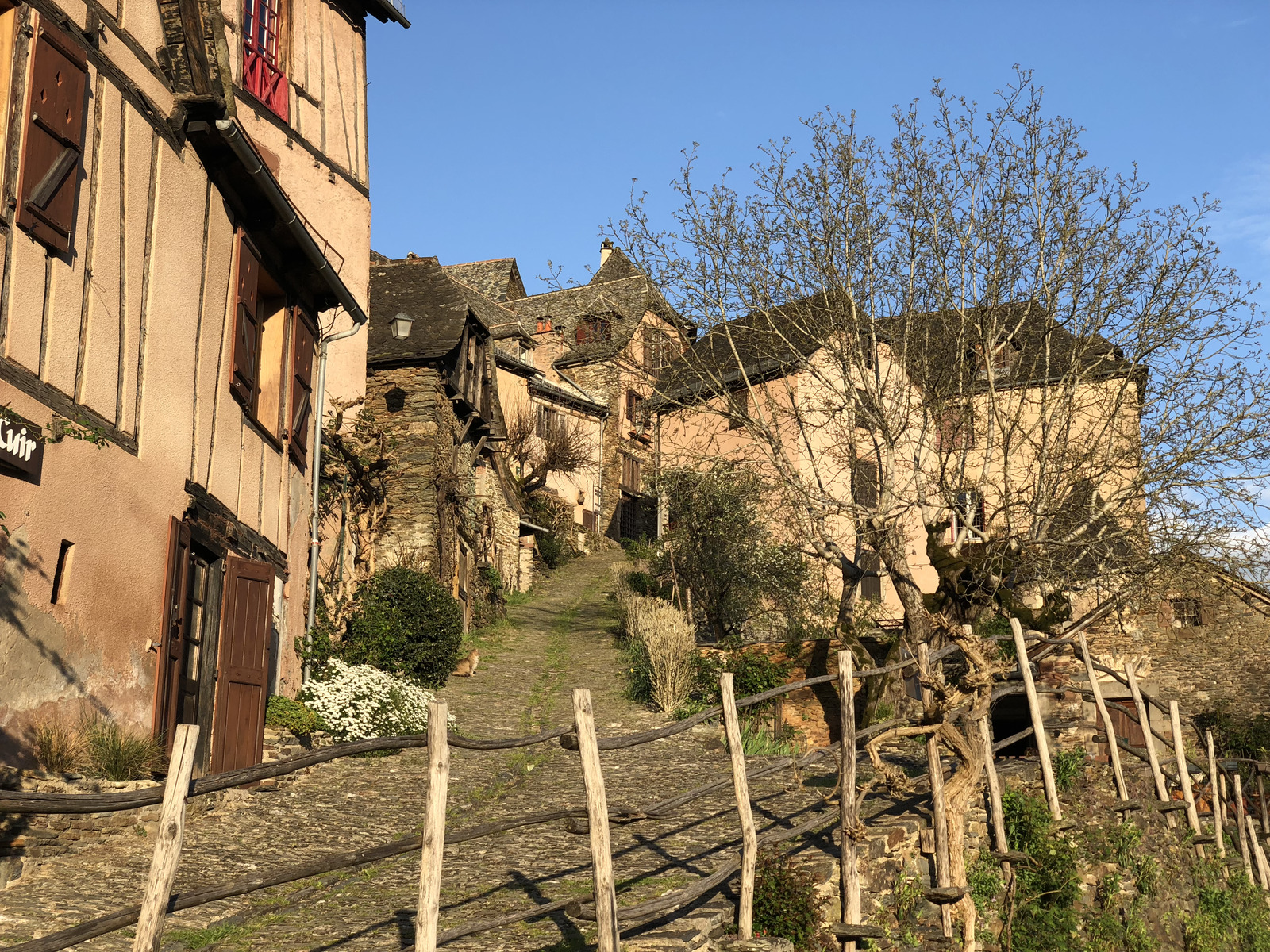 Picture France Conques 2018-04 234 - Pictures Conques