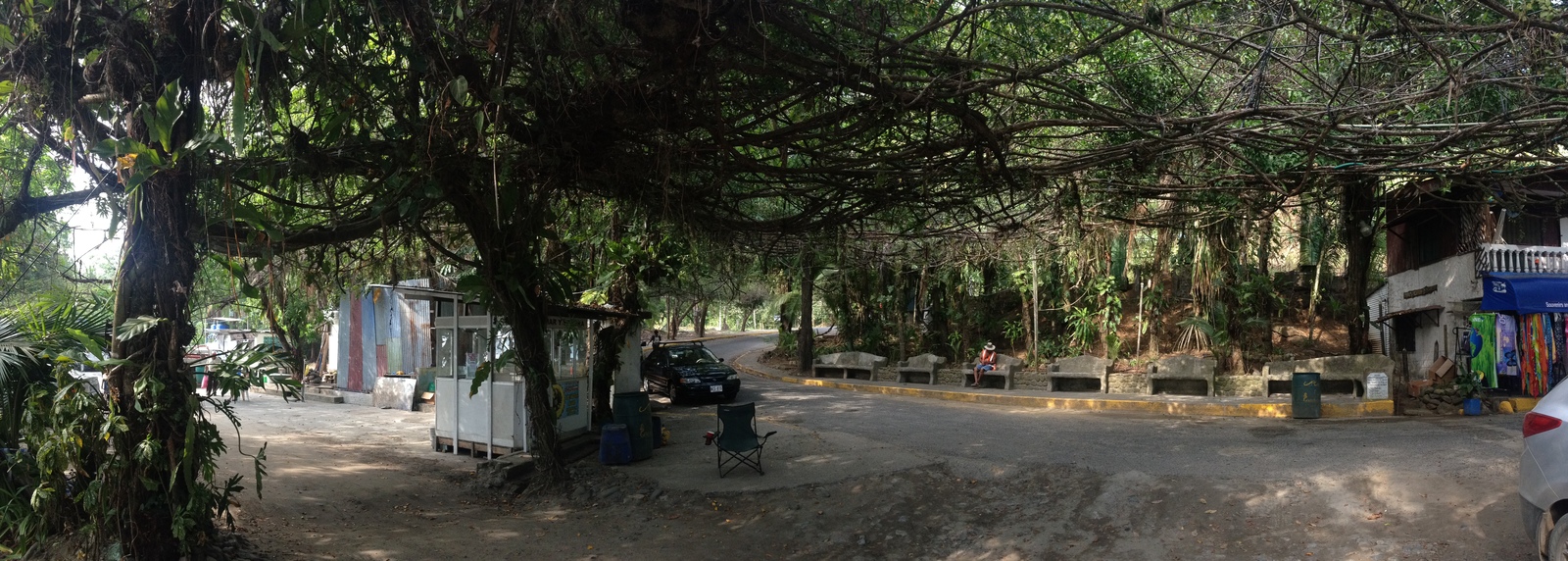 Picture Costa Rica Manuel Antonio 2015-03 333 - Sightseeing Manuel Antonio