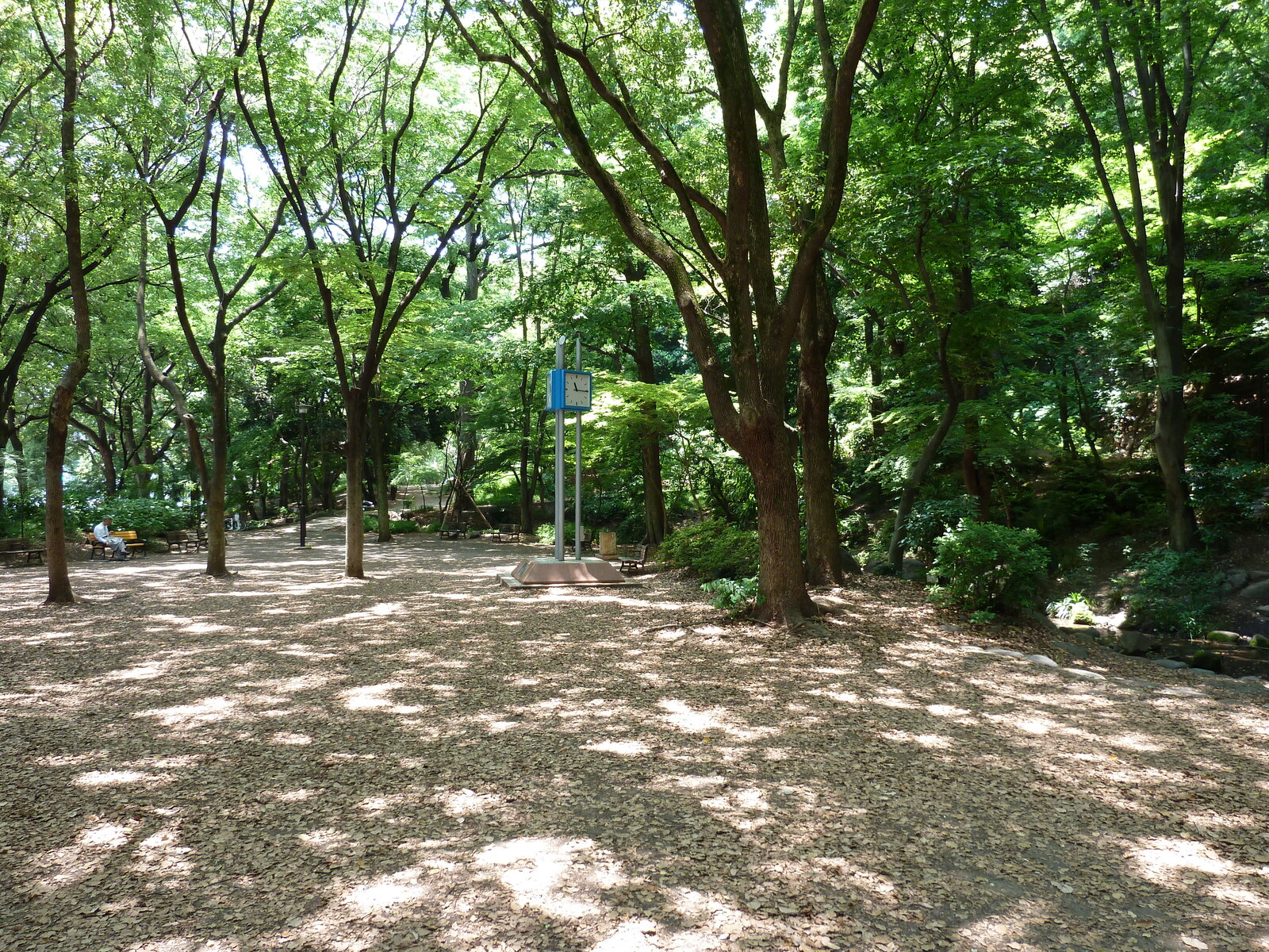 Picture Japan Tokyo Shiba Park 2010-06 64 - Store Shiba Park