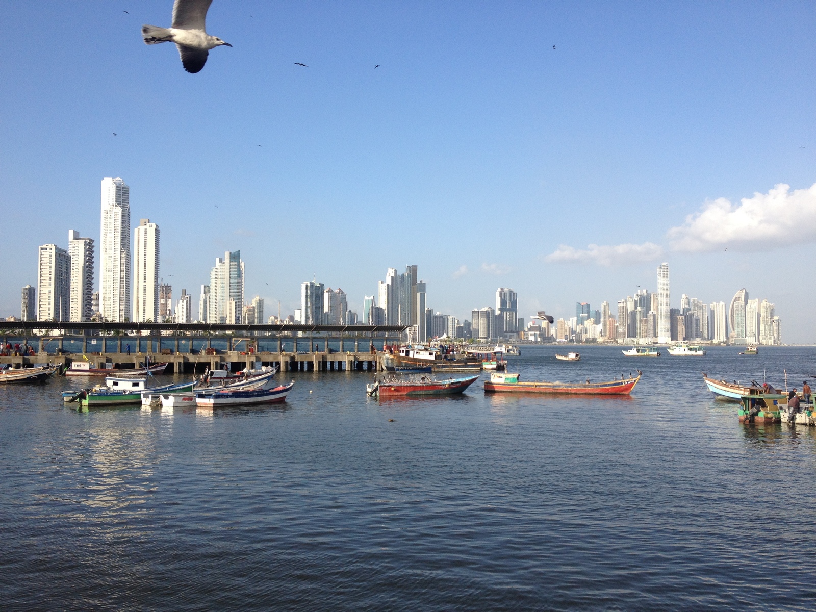 Picture Panama Panama City 2015-03 133 - Photos Panama City