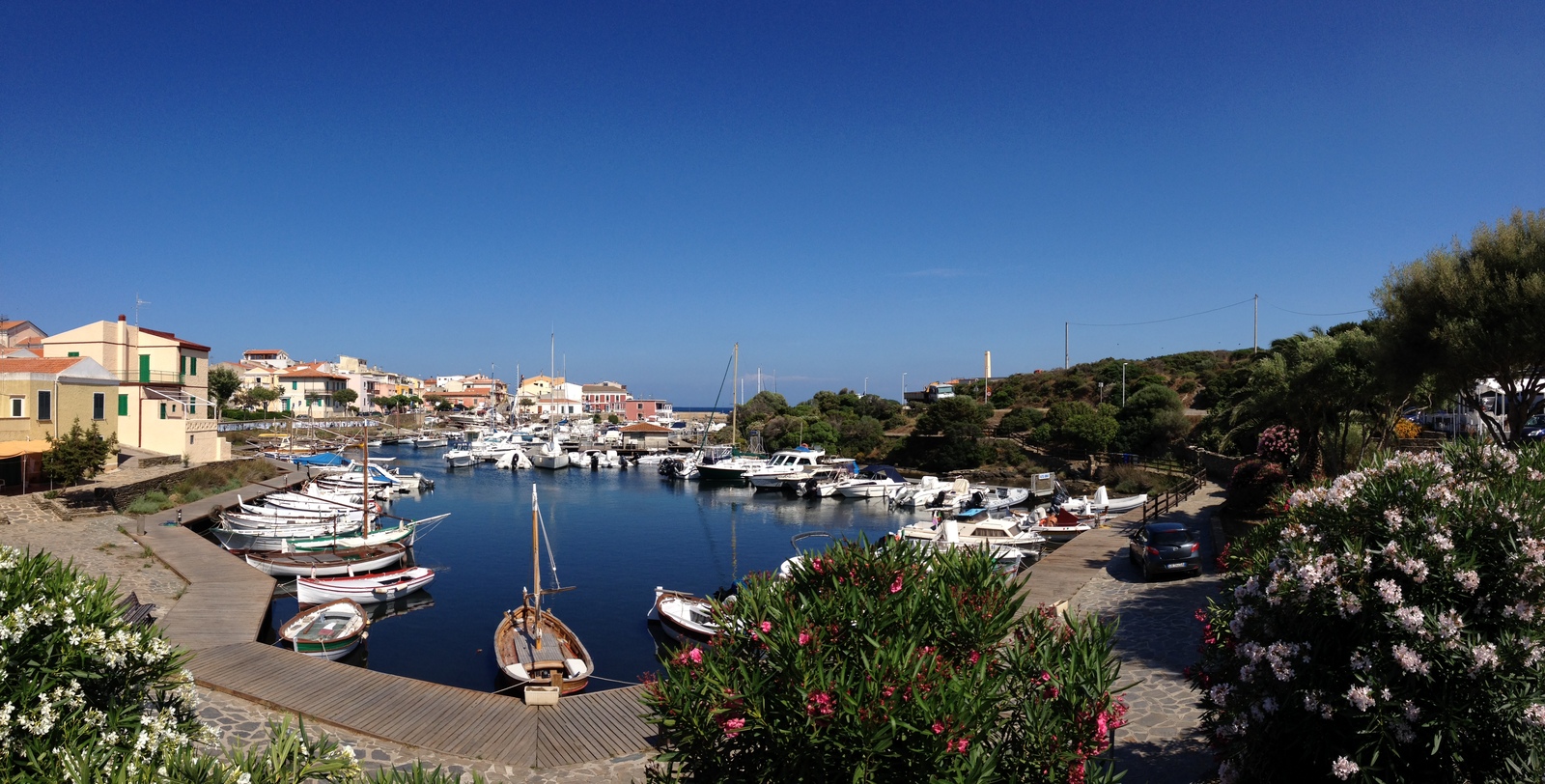 Picture Italy Sardinia Capo del Falcone 2015-06 52 - View Capo del Falcone