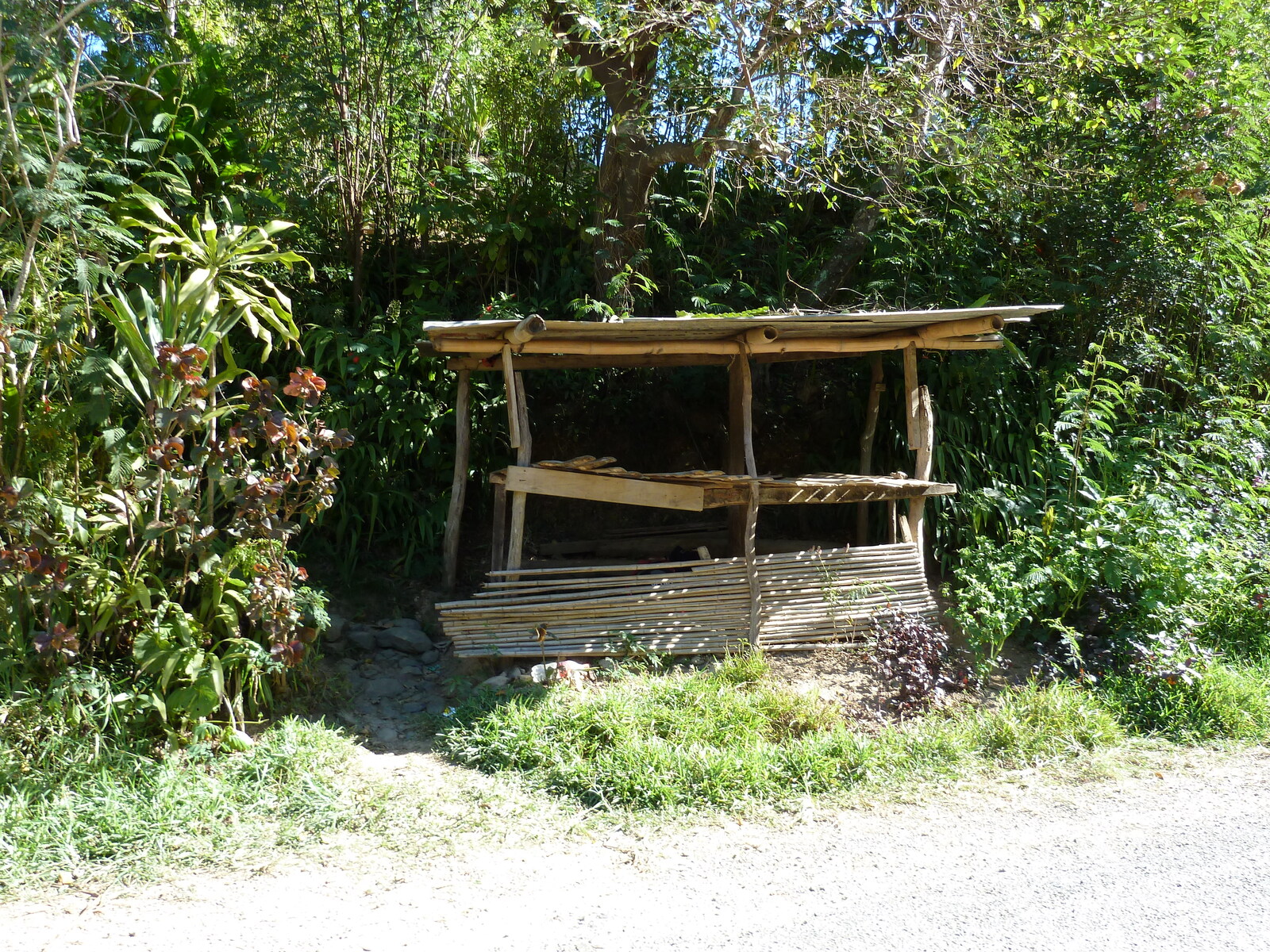 Picture New Caledonia Canala to La Foa road 2010-05 9 - Tourist Places Canala to La Foa road