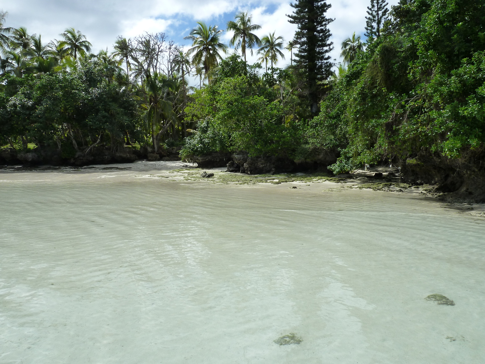 Picture New Caledonia Lifou Baie des tortues 2010-05 38 - Views Baie des tortues