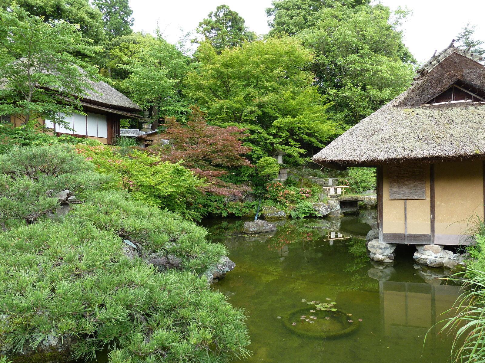 Picture Japan 2010-06 32 - Perspective Japan