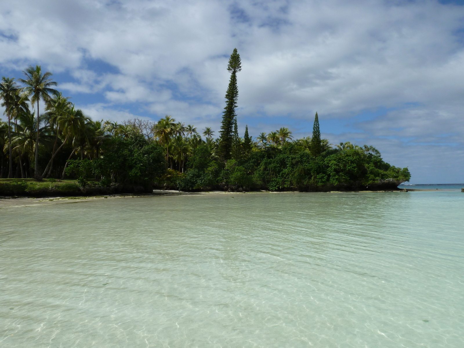 Picture New Caledonia Lifou Baie des tortues 2010-05 10 - Discover Baie des tortues