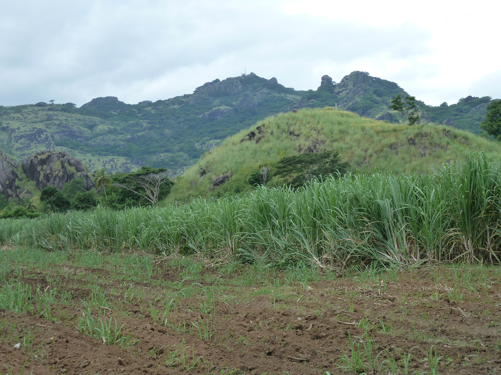 Picture Fiji Nadi to Lautoka road 2010-05 5 - View Nadi to Lautoka road