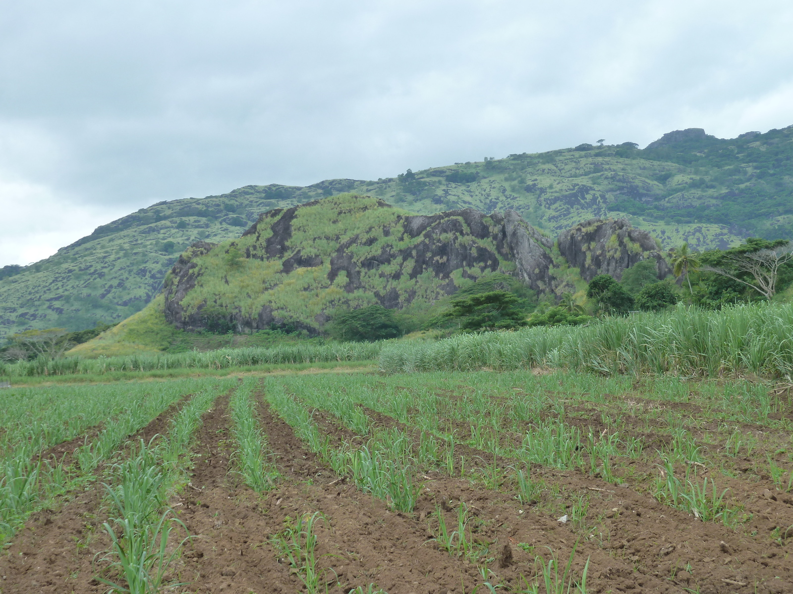 Picture Fiji Nadi to Lautoka road 2010-05 4 - Discover Nadi to Lautoka road