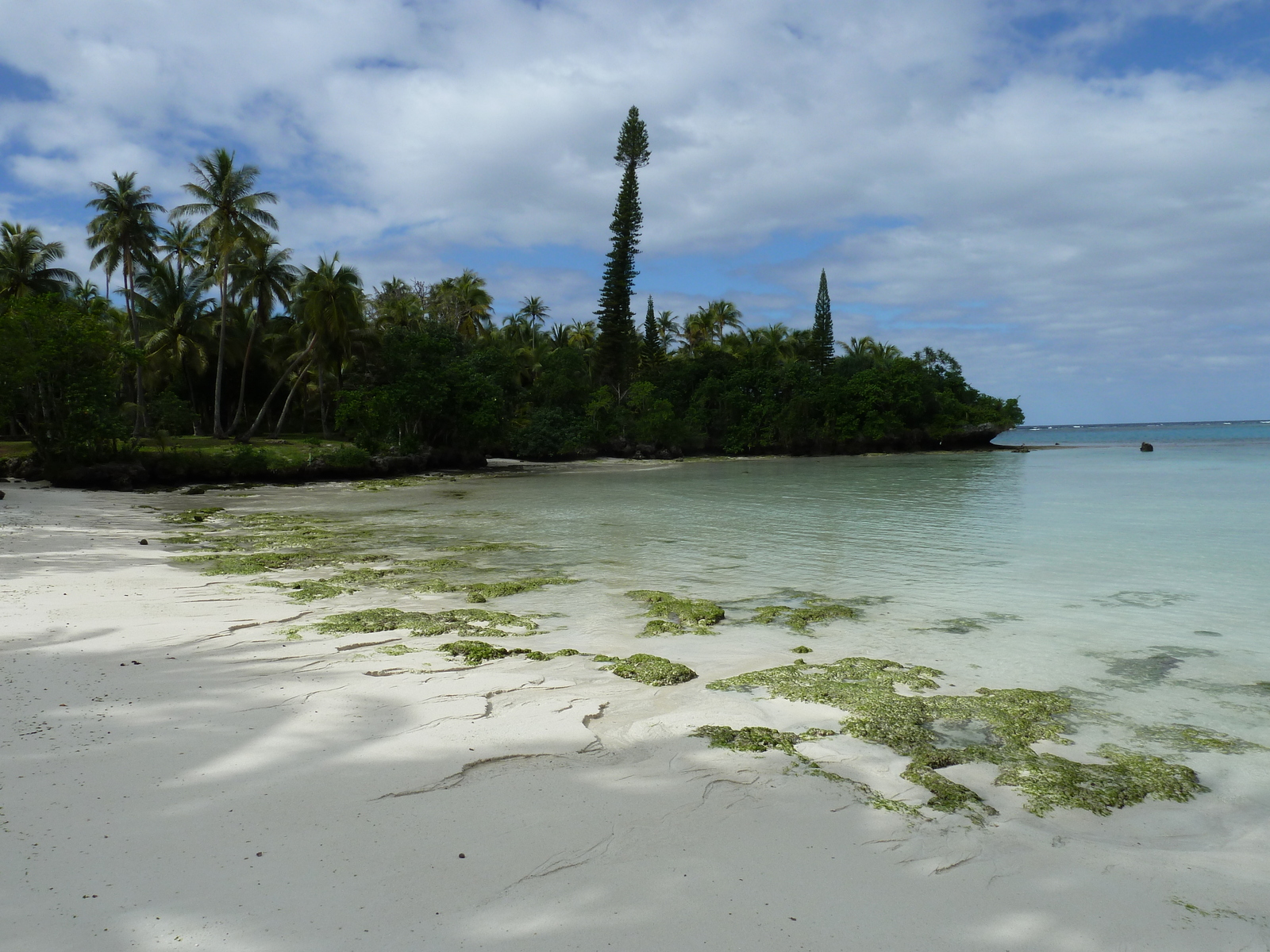 Picture New Caledonia Lifou Baie des tortues 2010-05 25 - Road Map Baie des tortues