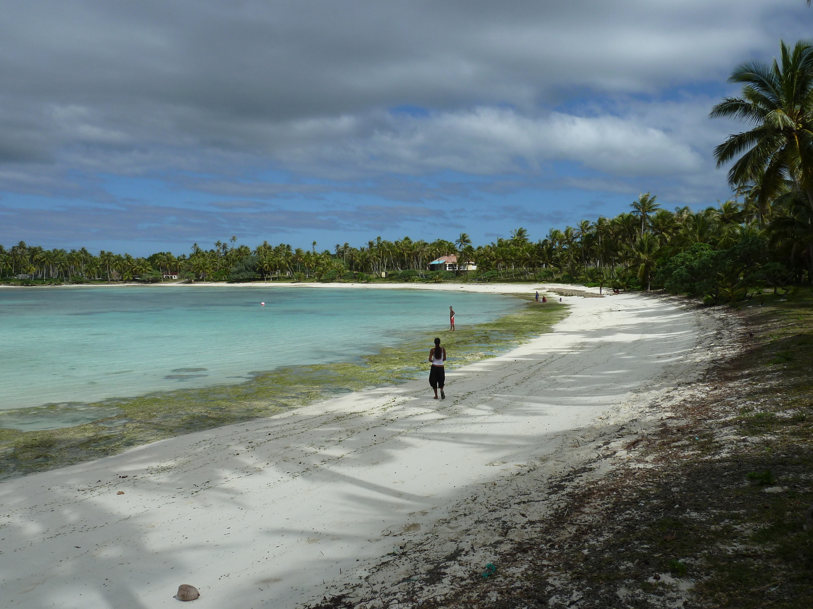 Picture New Caledonia Lifou Baie des tortues 2010-05 39 - Sightseeing Baie des tortues