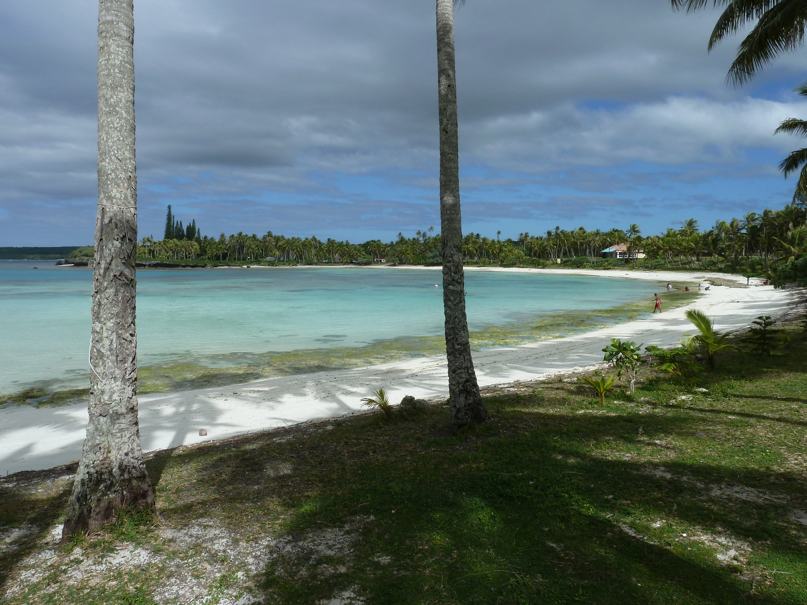 Picture New Caledonia Lifou Baie des tortues 2010-05 33 - View Baie des tortues