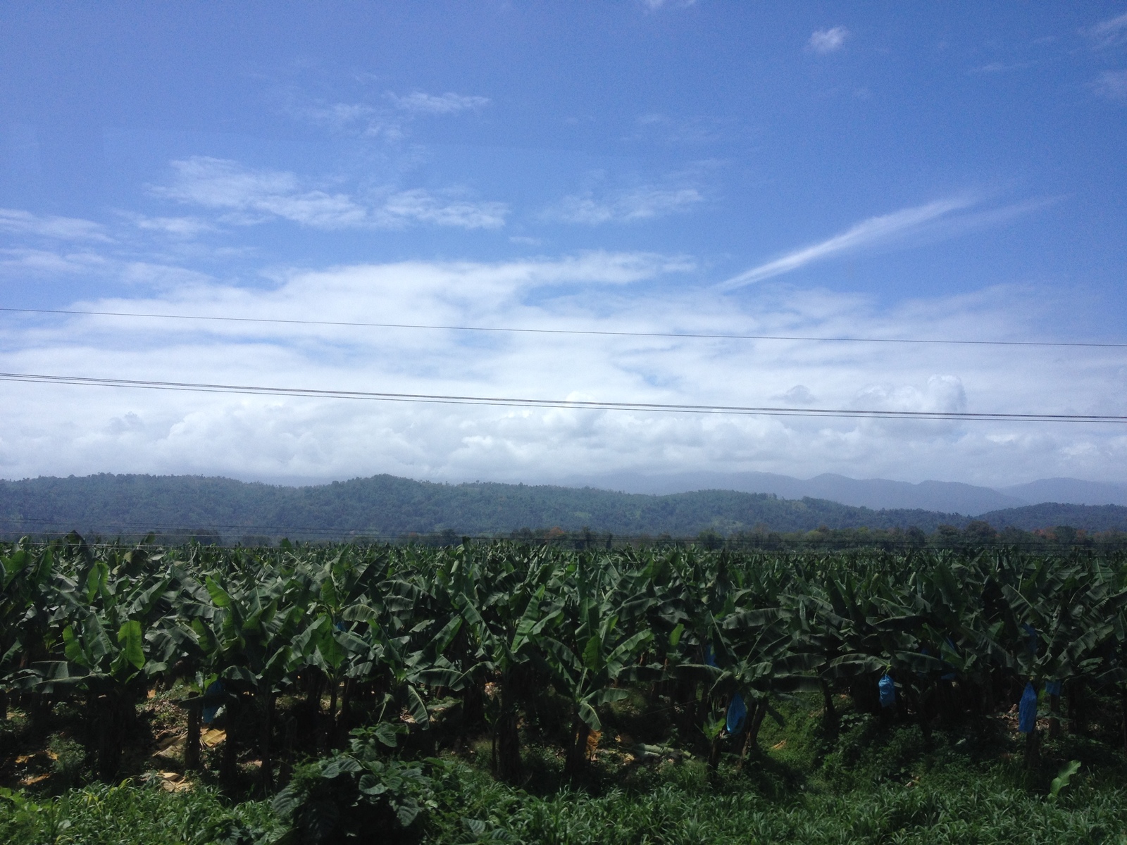 Picture Costa Rica Limon to Siquirres 2015-03 24 - Views Limon to Siquirres