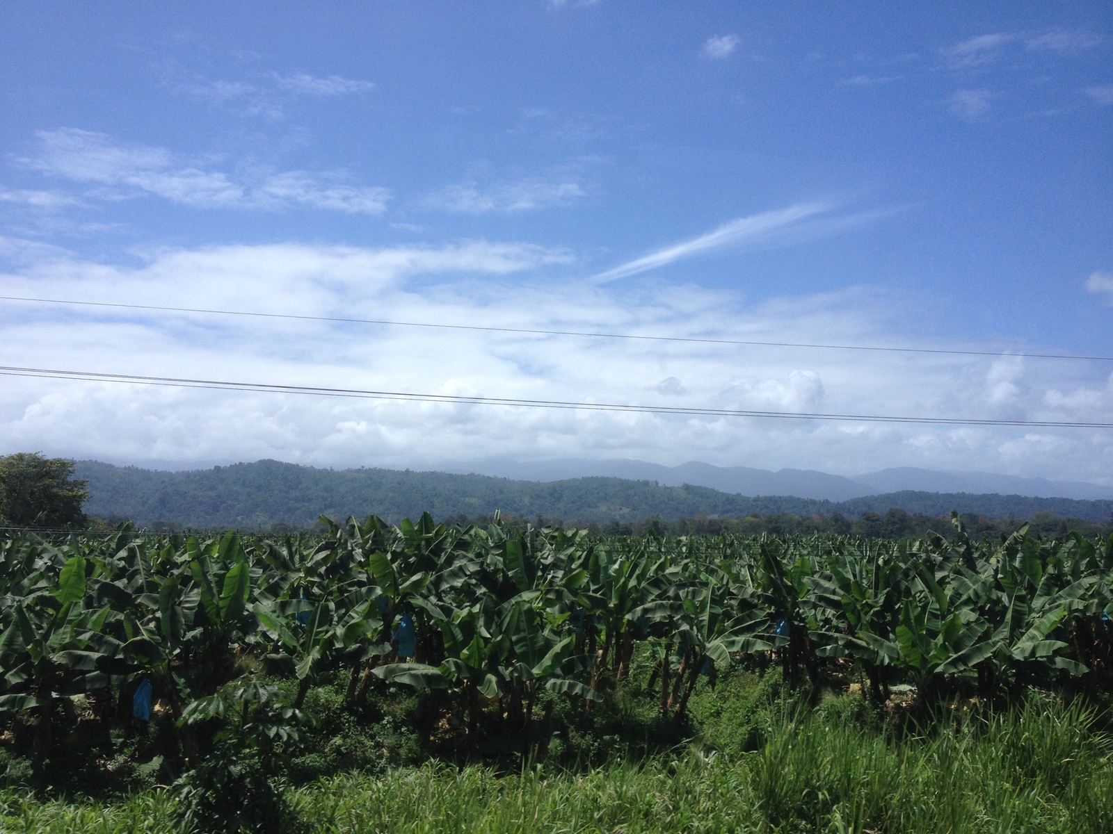 Picture Costa Rica Limon to Siquirres 2015-03 35 - Shopping Mall Limon to Siquirres