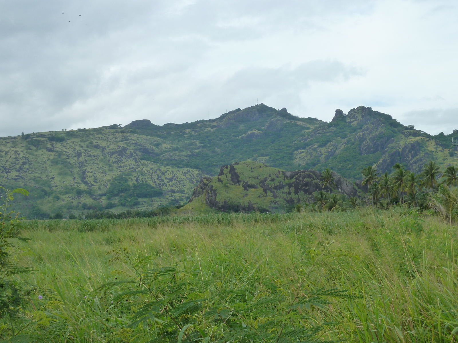 Picture Fiji Nadi to Lautoka road 2010-05 8 - Store Nadi to Lautoka road