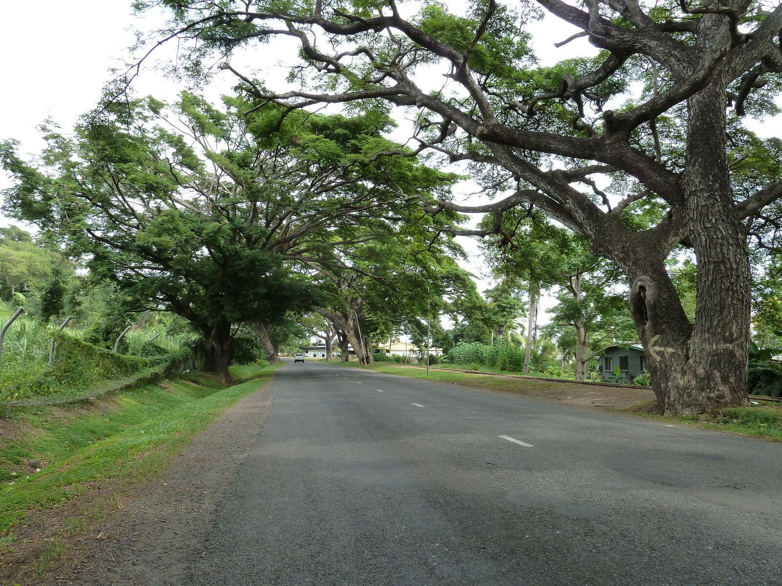 Picture Fiji 2010-05 22 - Travels Fiji