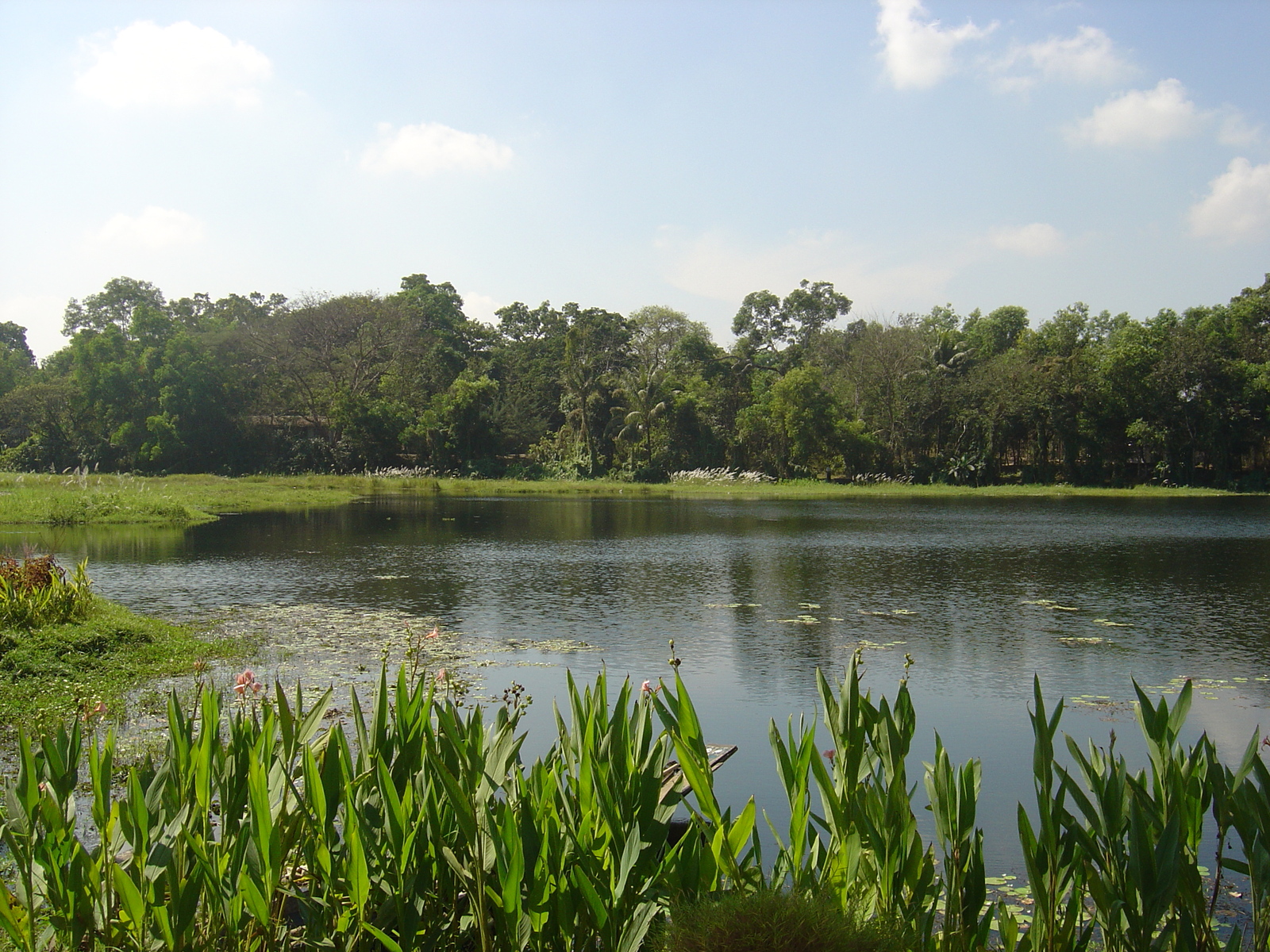 Picture Myanmar Yangon Dusit Inya Lake Hotel 2005-01 20 - Trail Dusit Inya Lake Hotel