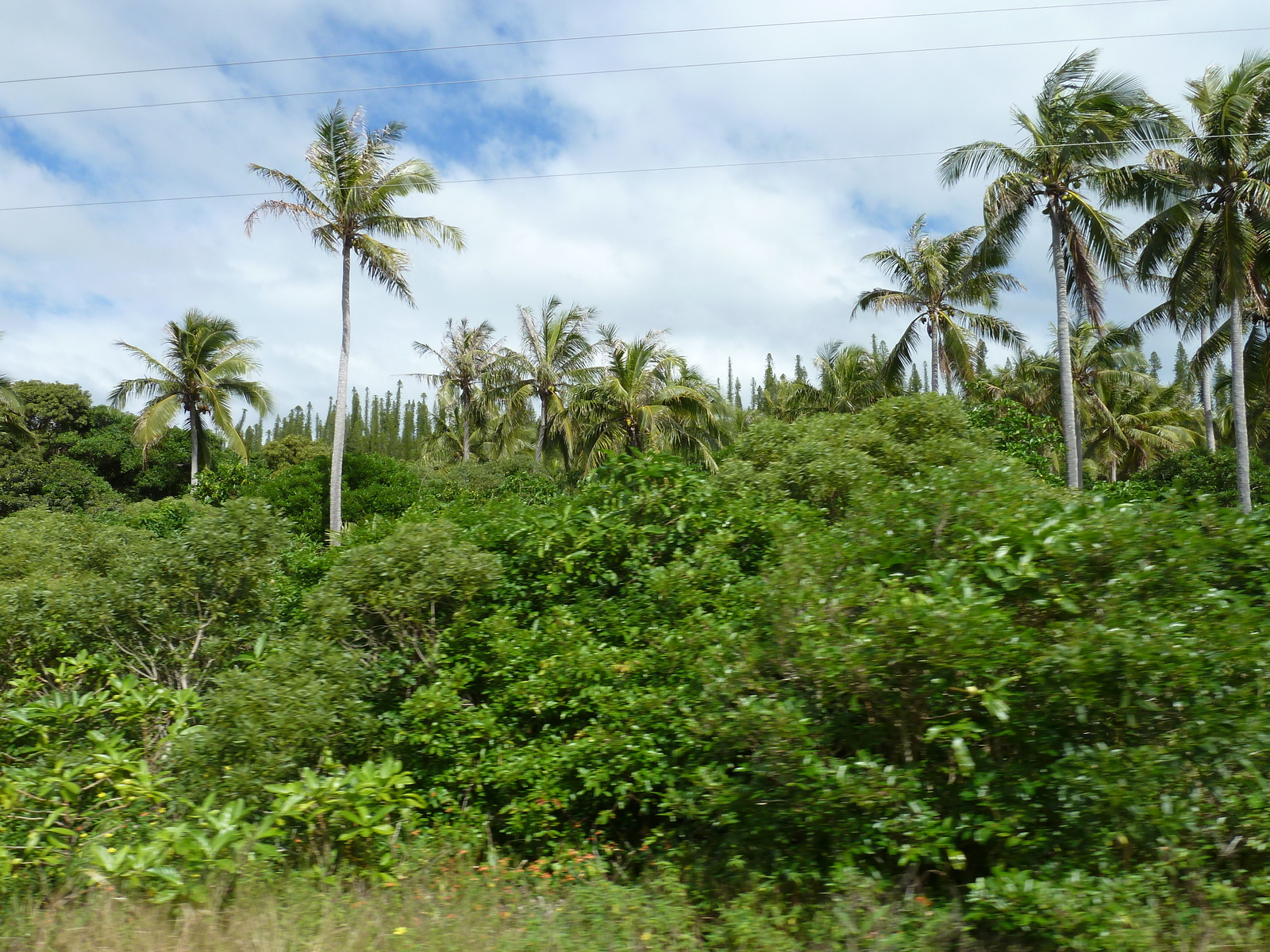 Picture New Caledonia Lifou 2010-05 31 - Pictures Lifou