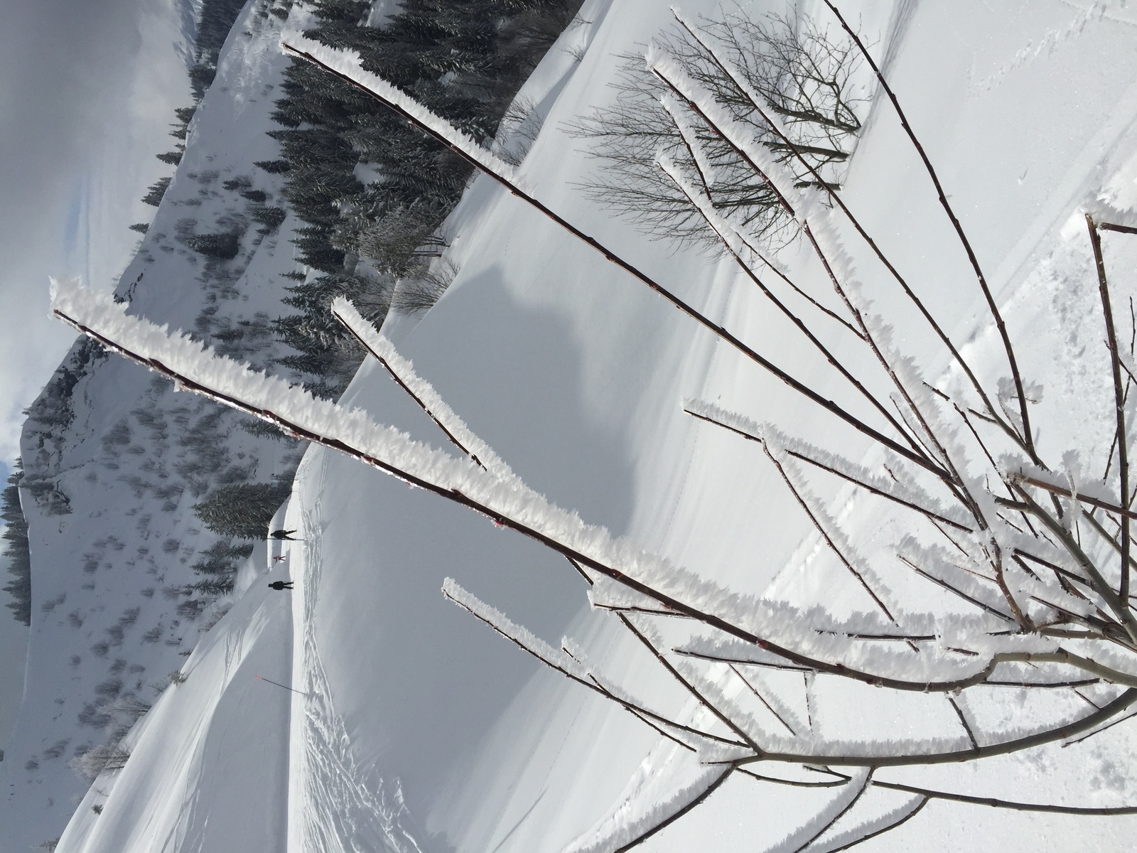 Picture France Megeve 2016-02 59 - Visit Megeve