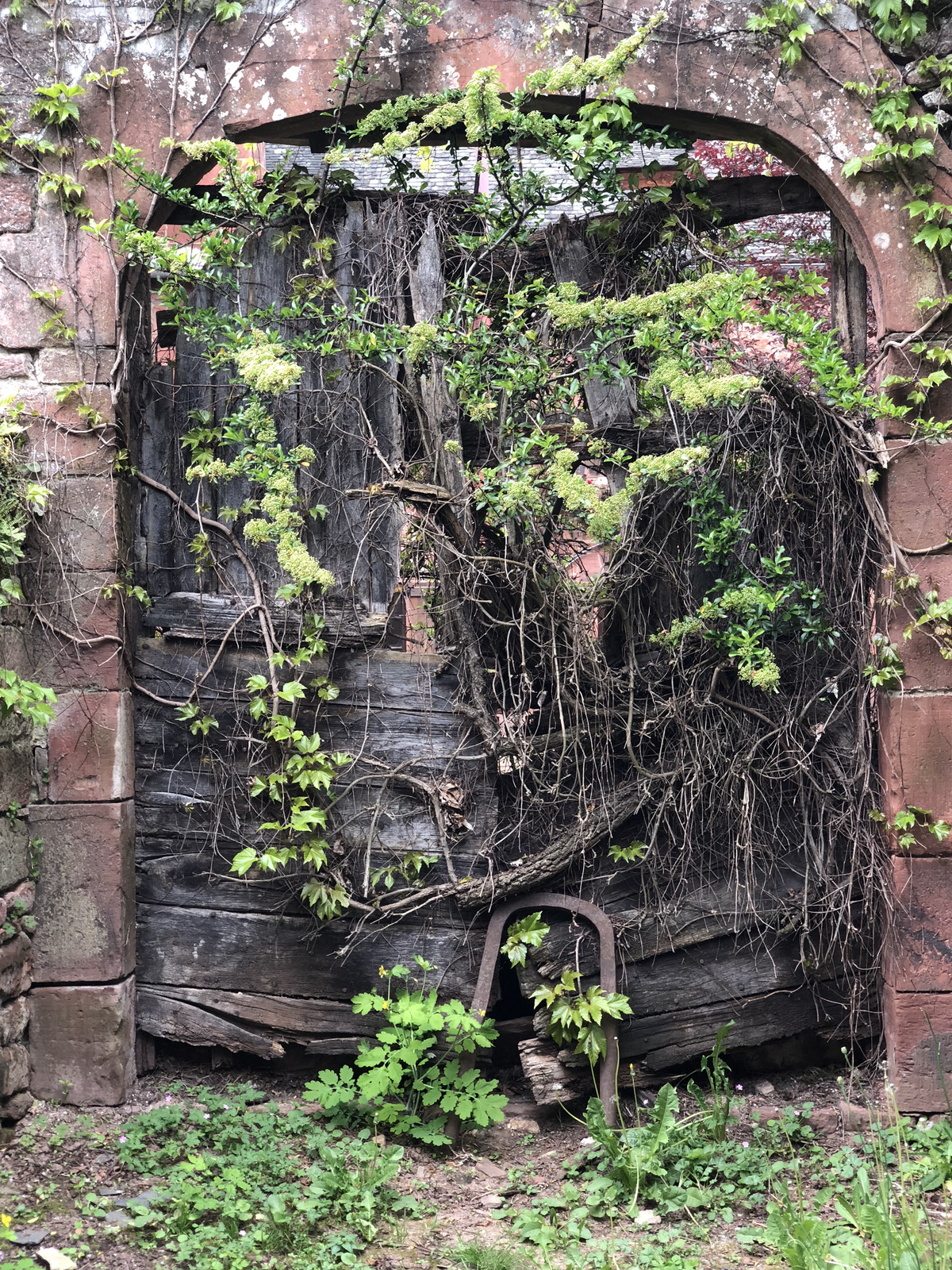 Picture France Collonges la Rouge 2018-04 18 - Photographers Collonges la Rouge