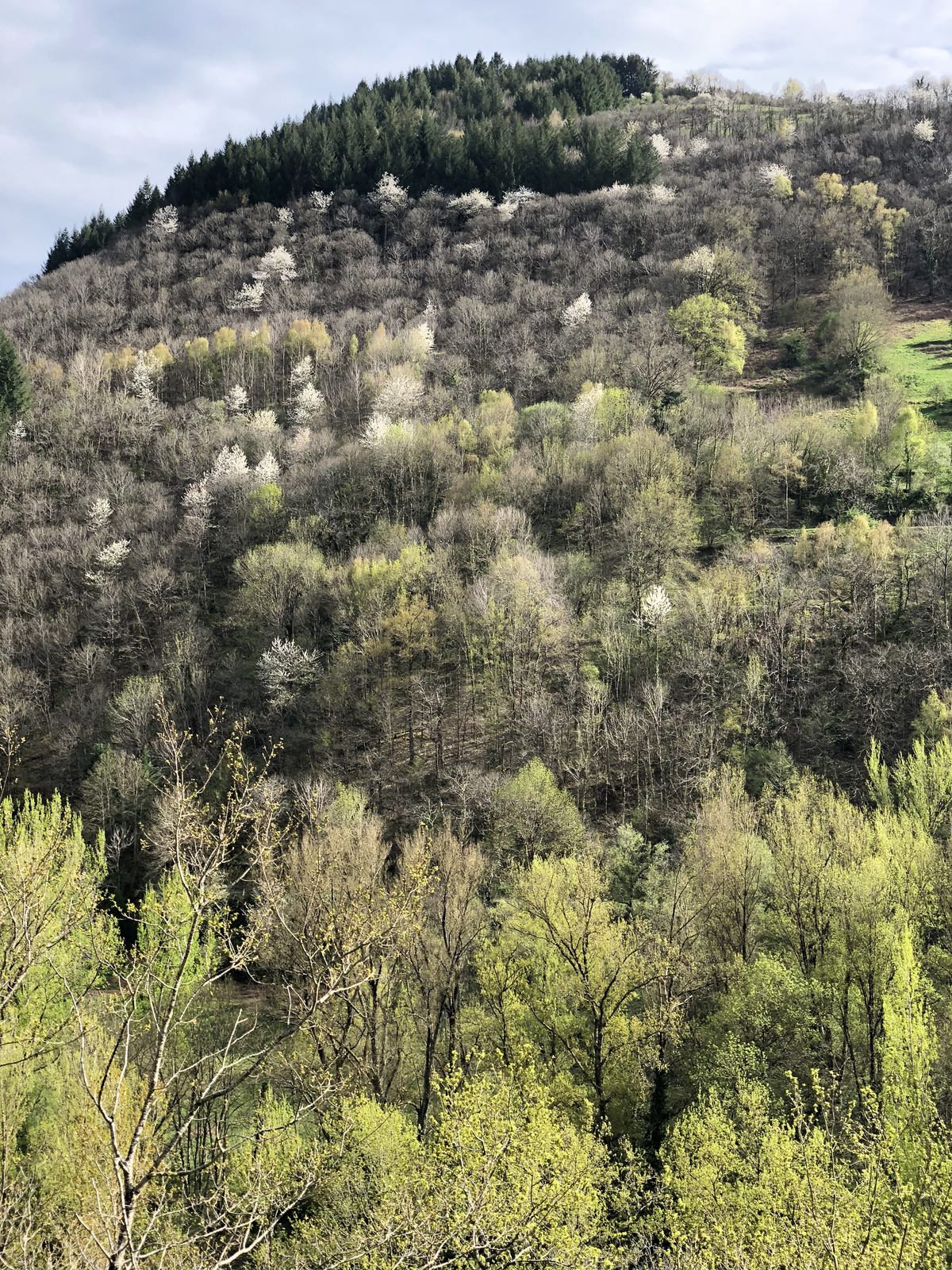 Picture France Conques 2018-04 111 - Views Conques