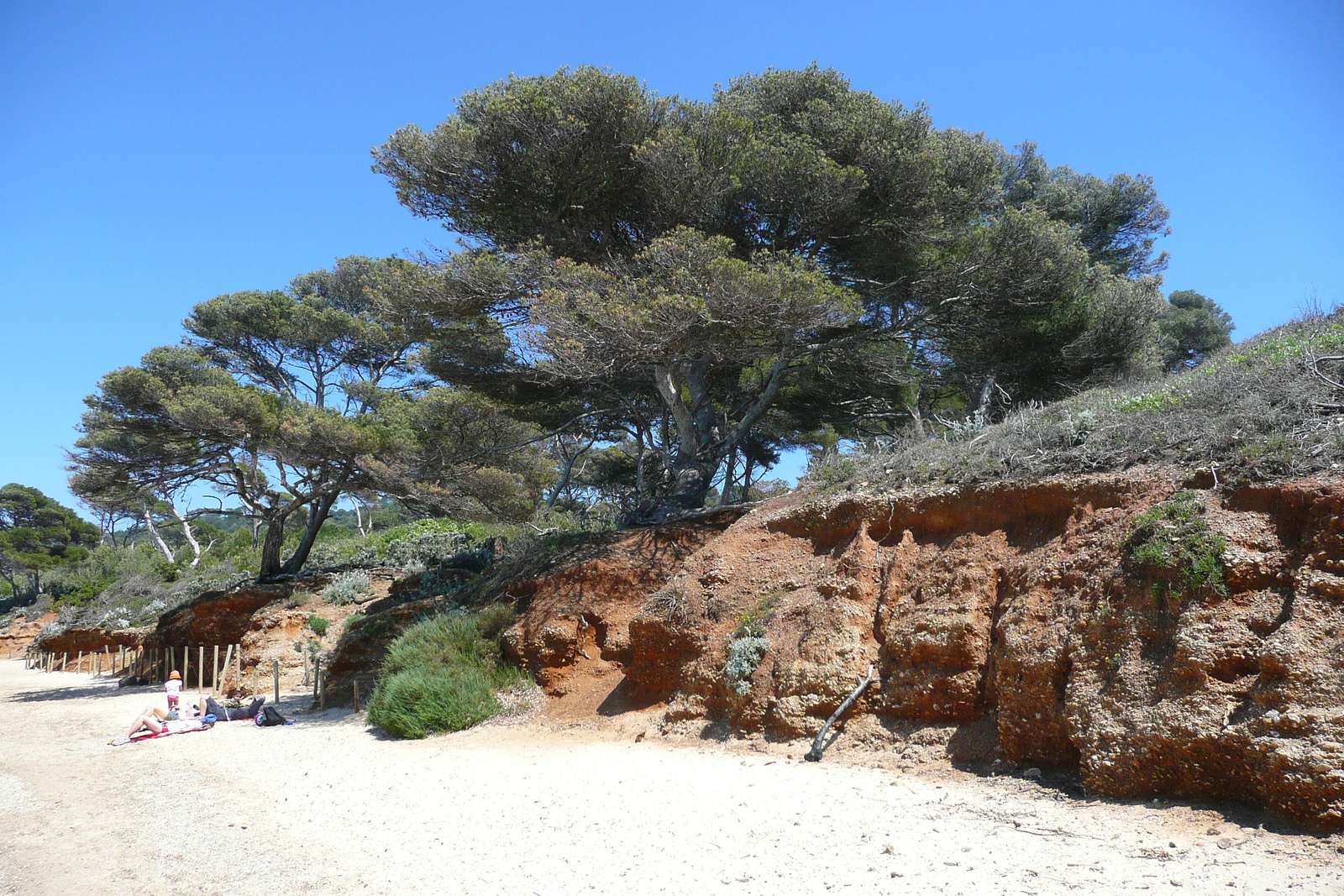 Picture France Porquerolles Island Courtade beach 2008-05 51 - Perspective Courtade beach