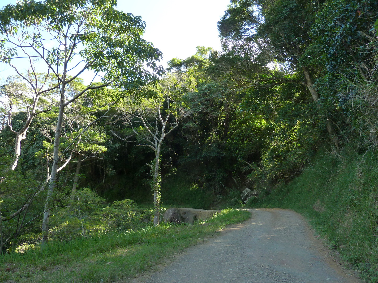 Picture New Caledonia Thio to Canala road 2010-05 74 - Journey Thio to Canala road