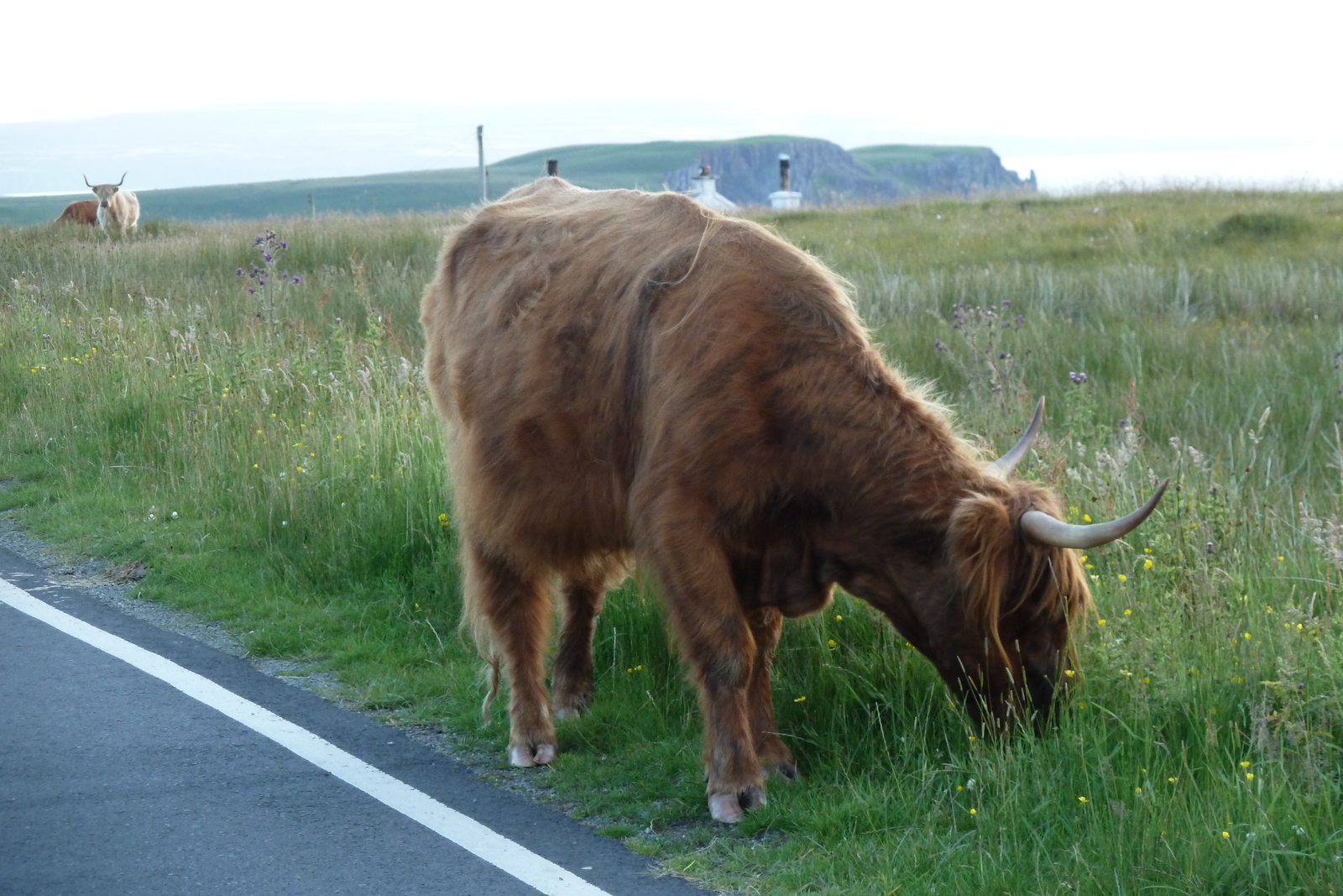 Picture United Kingdom Skye 2011-07 42 - Road Map Skye