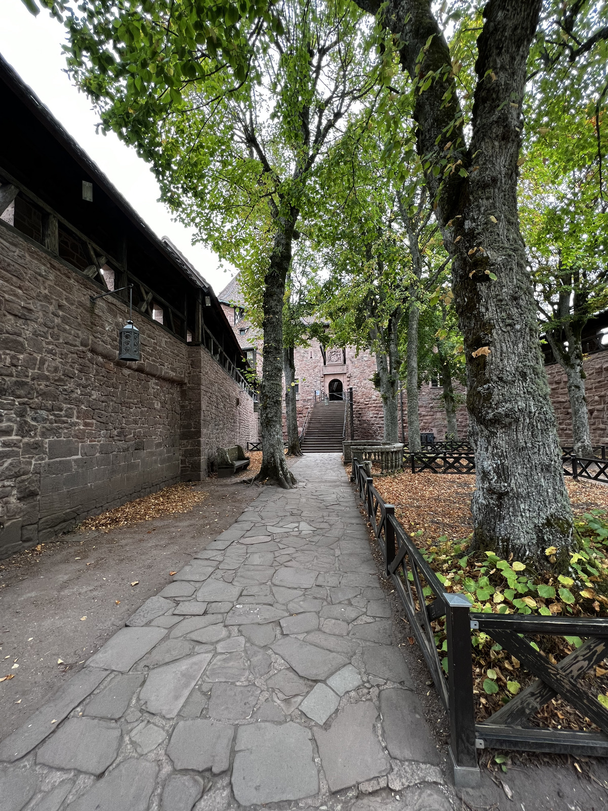 Picture France Koenigsbourg Castle 2023-10 60 - Views Koenigsbourg Castle