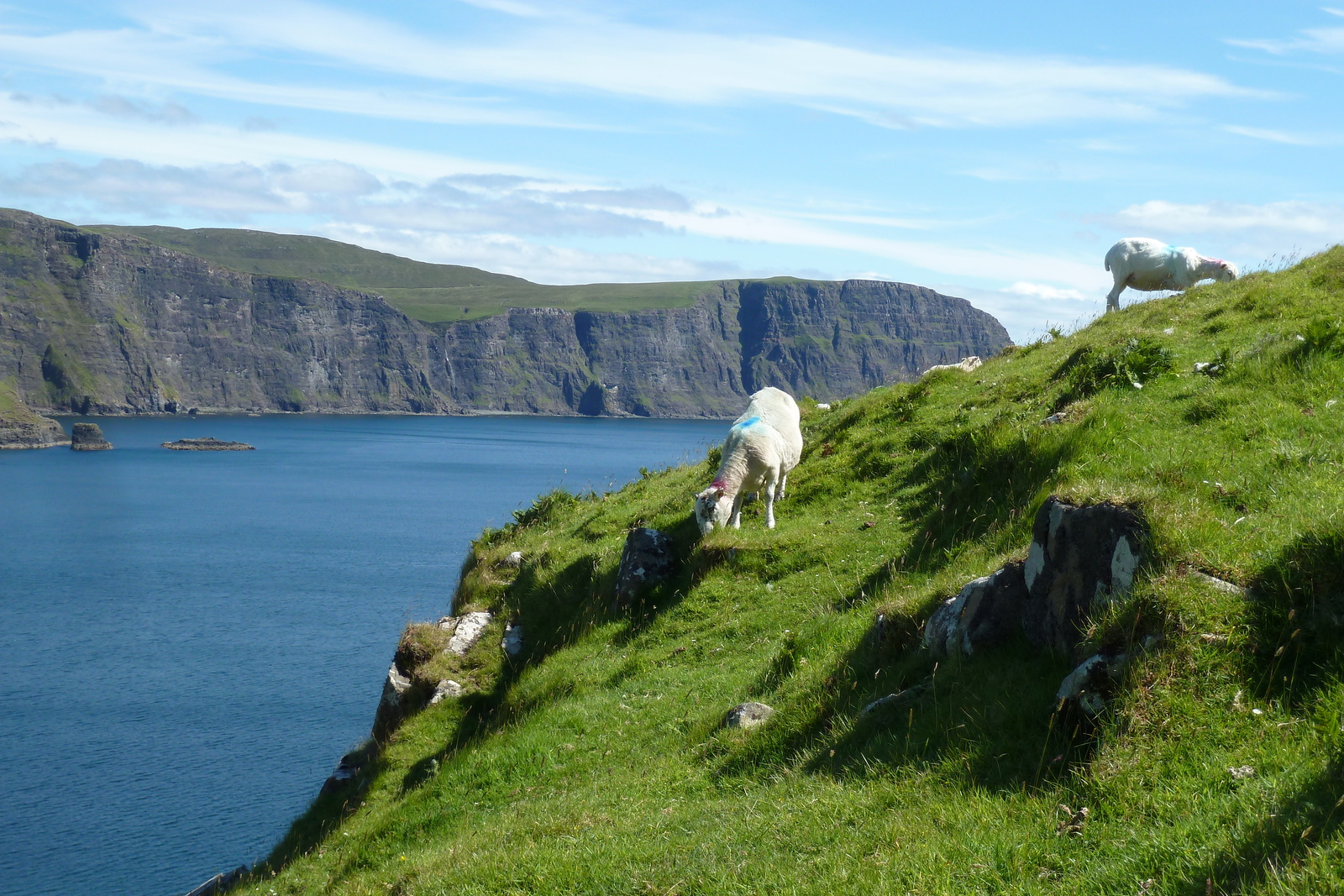 Picture United Kingdom Skye Neist Point 2011-07 43 - View Neist Point